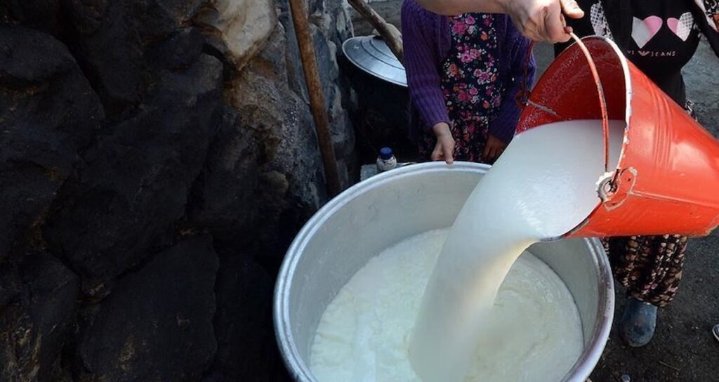 cin abden ithal sut urunlerine baslattigi sorusturmasinin suresini uzatti OOjXz7Ac