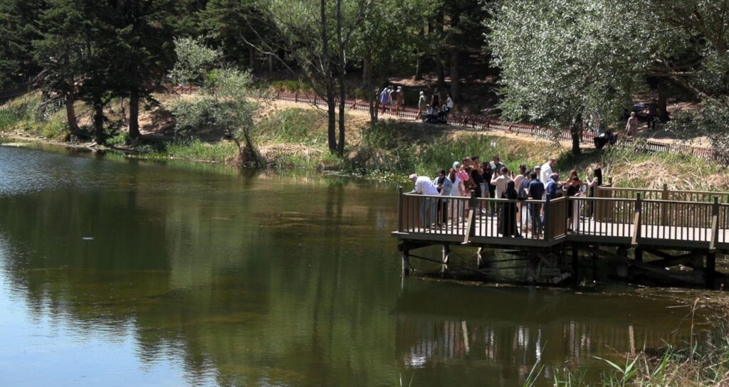 golcuk tabiat parkinda yogunluk 4BL2krKn