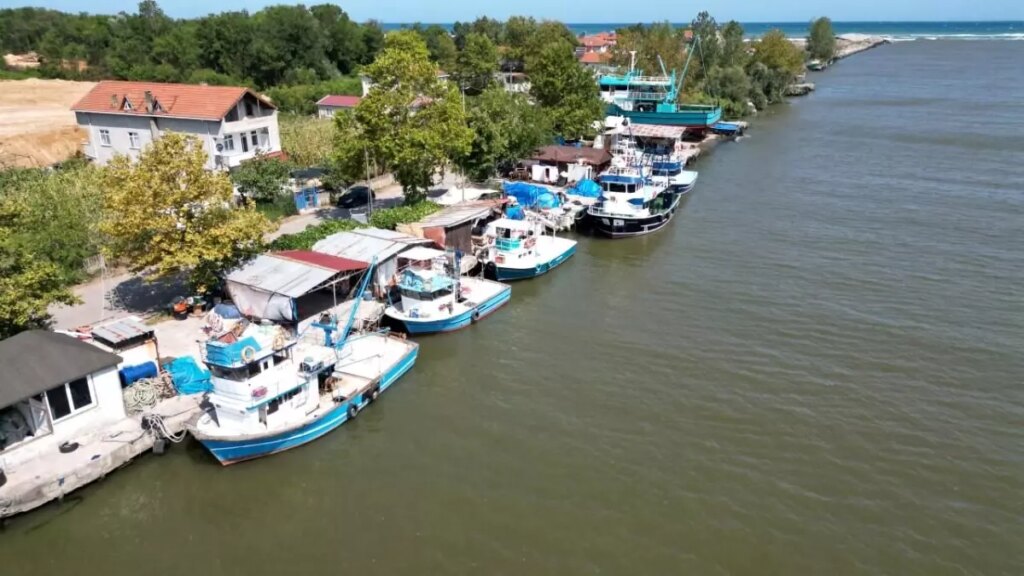 karasuda palamut sezonu risk altinda QHUqb6Nd