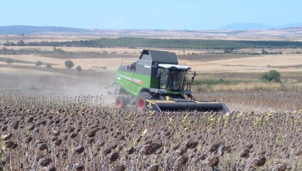 manyasta aycicegi hasadi basladi gyDceyjZ