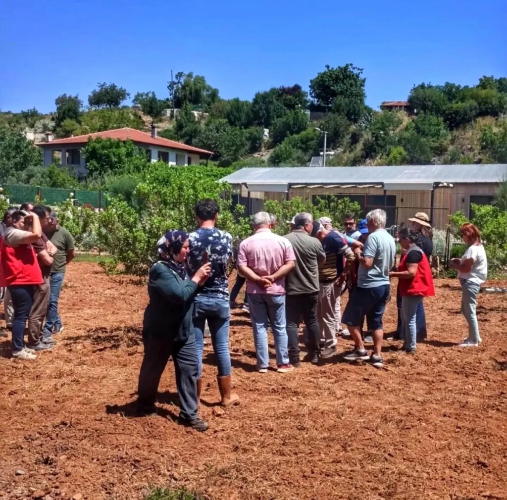 muglada sakiz agaci tarla gunu XyVKRp1J