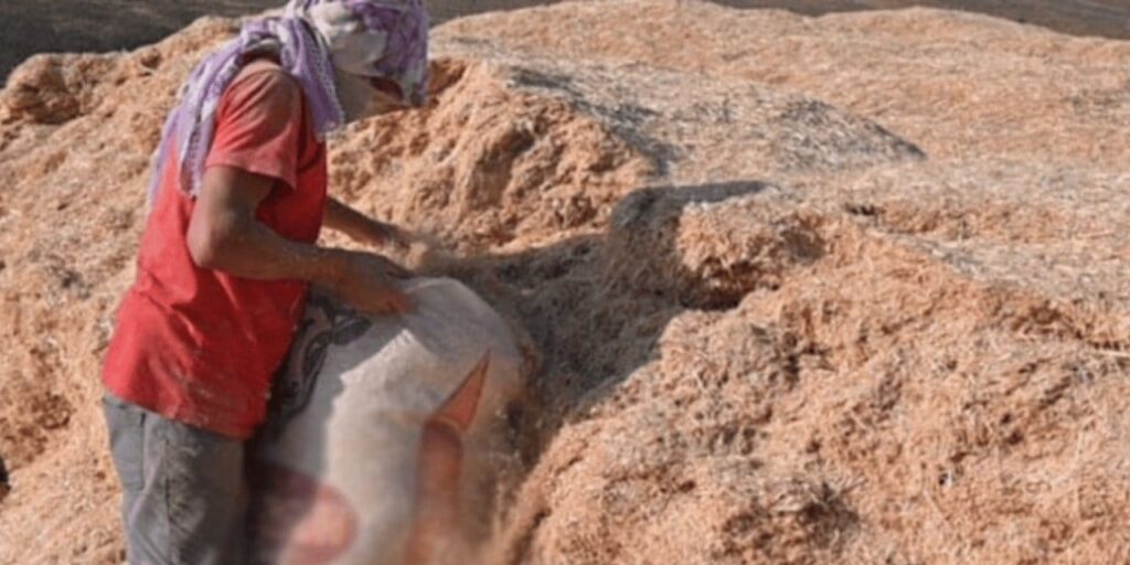 saman fiyatlari uce katlandi besiciler zor bir kisa hazirlaniyor Og6hATAW