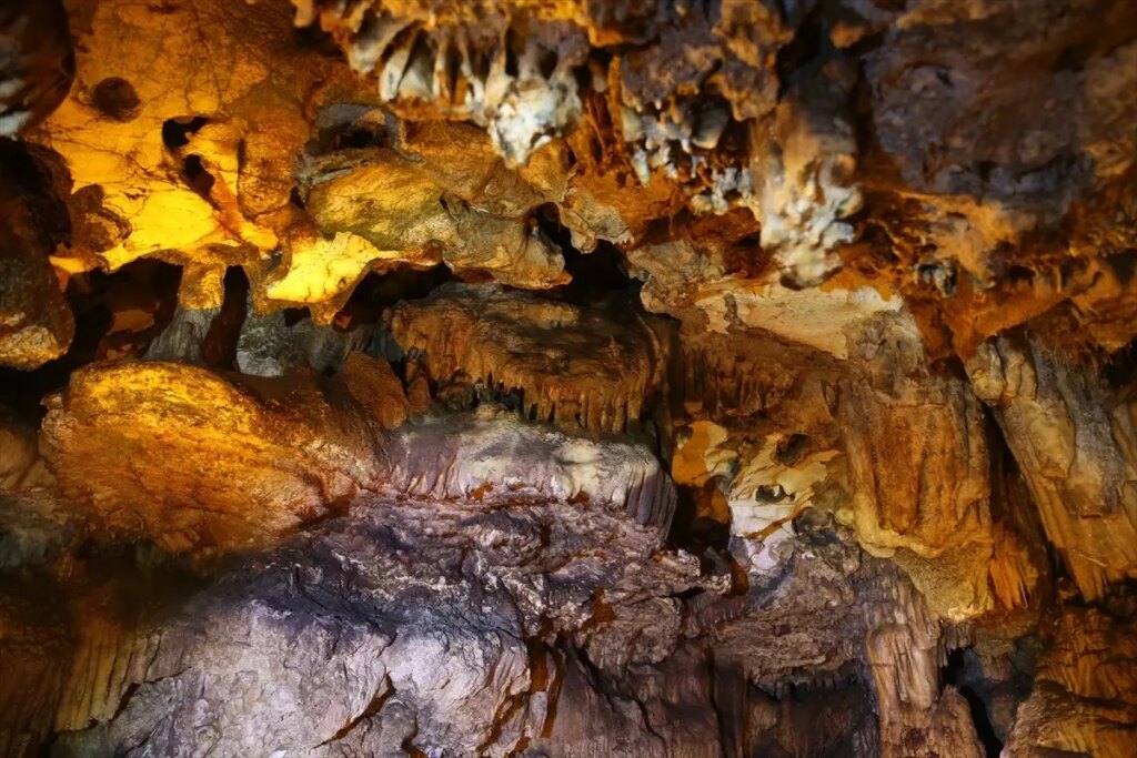 ballica magarasina buyuk ilgi reyA4Ol7