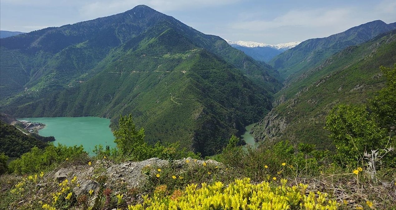 karadenizin en saglikli sehri belli oldu giZtp5fU