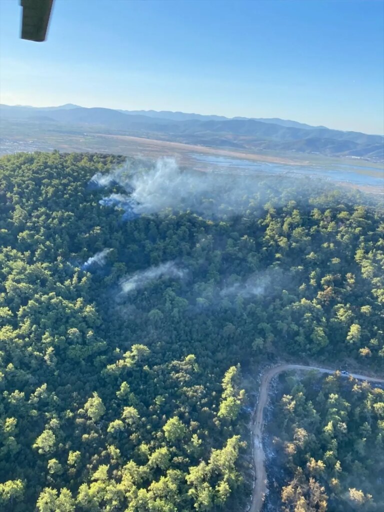 milasta orman yangini suruyor 1dKJvr6t