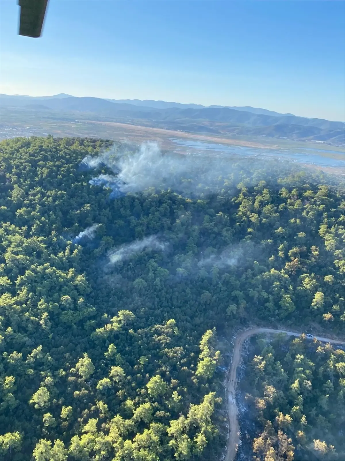 milasta orman yangini suruyor 1dKJvr6t