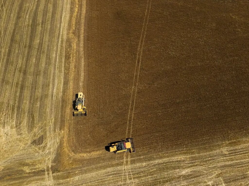 usakta corek otu uretimi yuzde 335 artti a3Tn2QVN