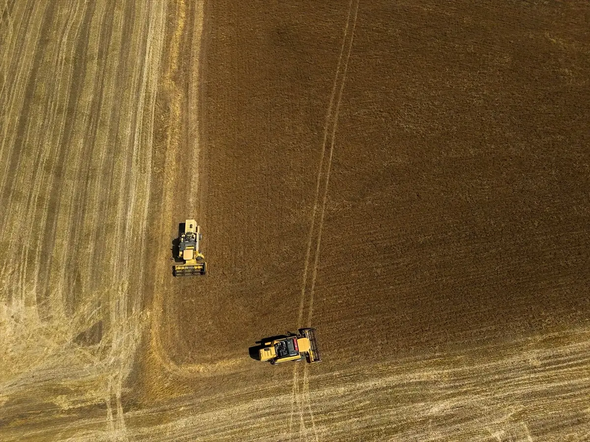 usakta corek otu uretimi yuzde 335 artti a3Tn2QVN