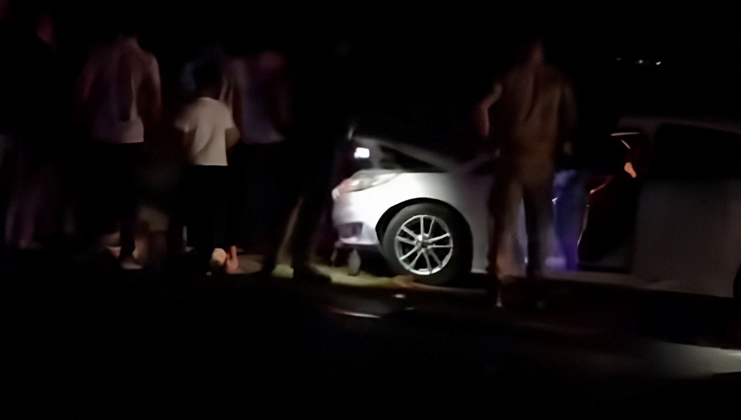 vanda otomobil suruye carpti 8 koyun oldu Wj3kScWf