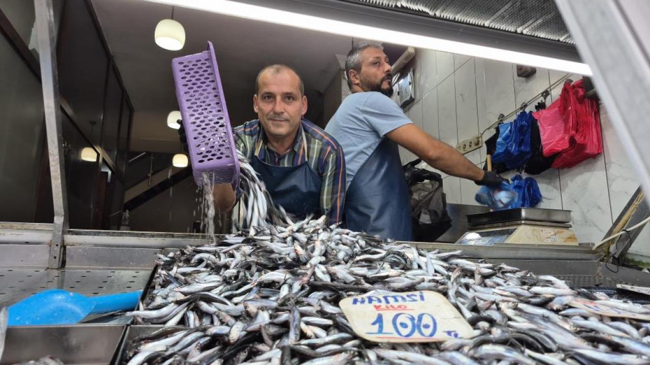 yaz sicaklari palamudu vurdu yerini hamsi aldi dD3Q3zmJ.jpg