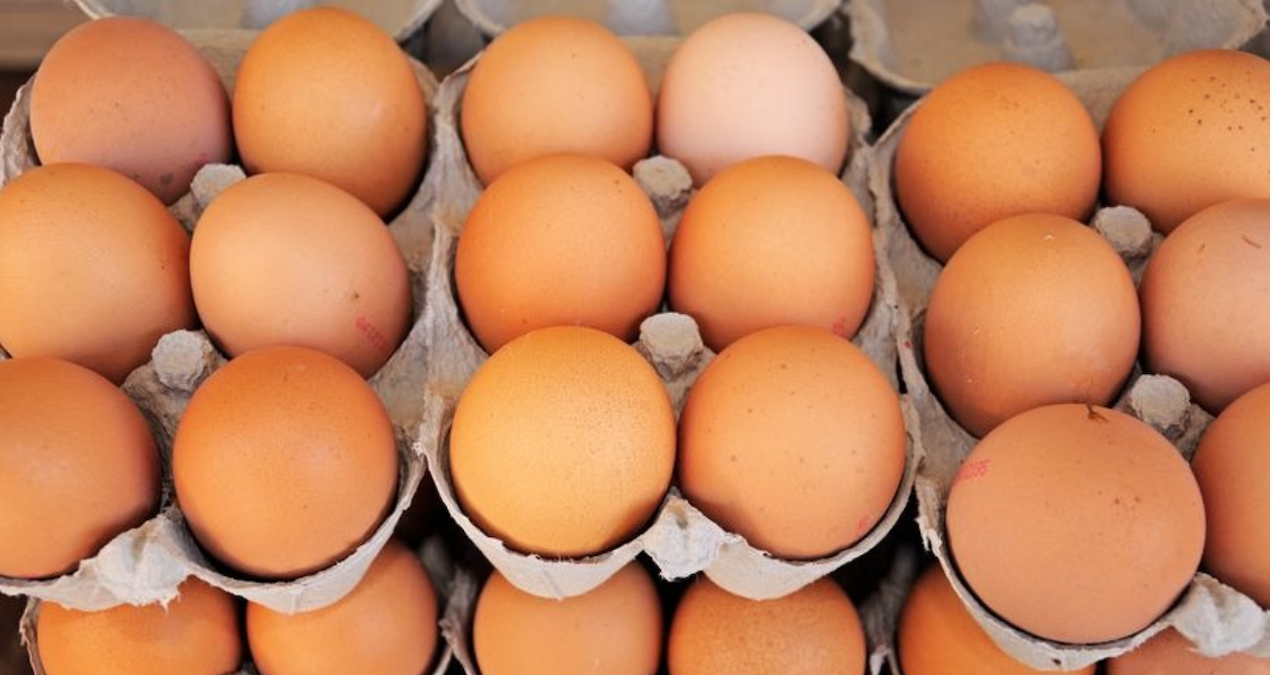 yumurta krizi kapida uretimde sert dusus 6HODCkql.jpg