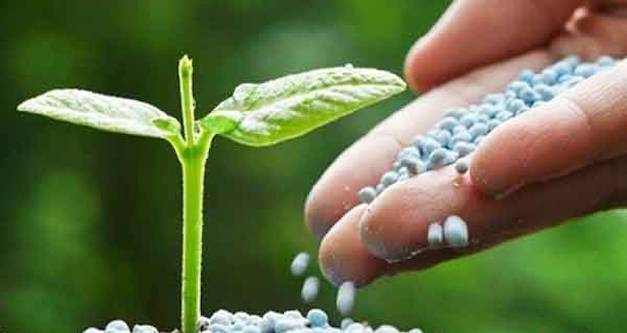 Türk gübre üreticisi İran’daki tesislerinde üretimi durdurdu