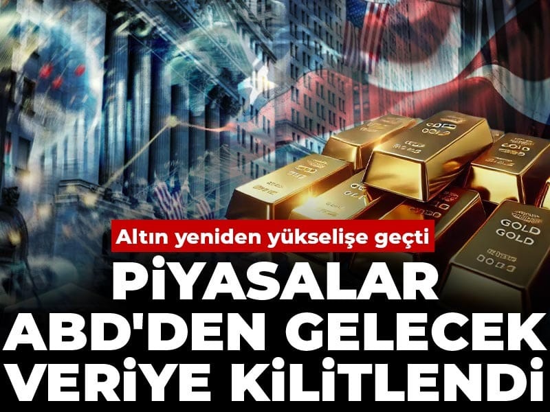 Amsterdam Adası’ndaki İnekler 130 Yıl Sonra Rekor Kırdı